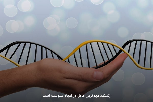 ژنتیک؛ علت ایجاد سلولیت در بدن